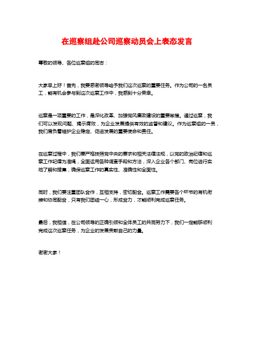 在巡察组赴公司巡察动员会上表态发言