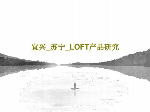 宜兴_苏宁_LOFT产品研究共35页