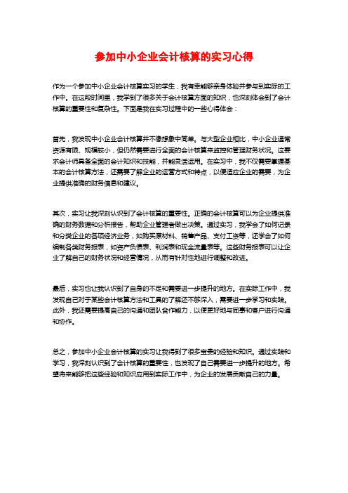 参加中小企业会计核算的实习心得