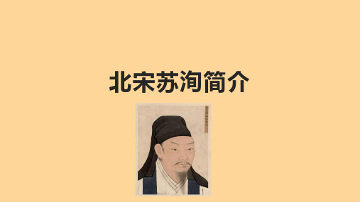 北宋苏洵简介