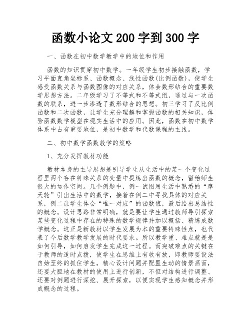 函数小论文200字到300字