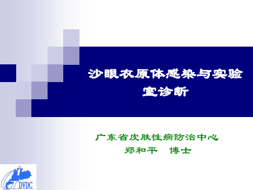 沙眼衣原体感染实验室诊断