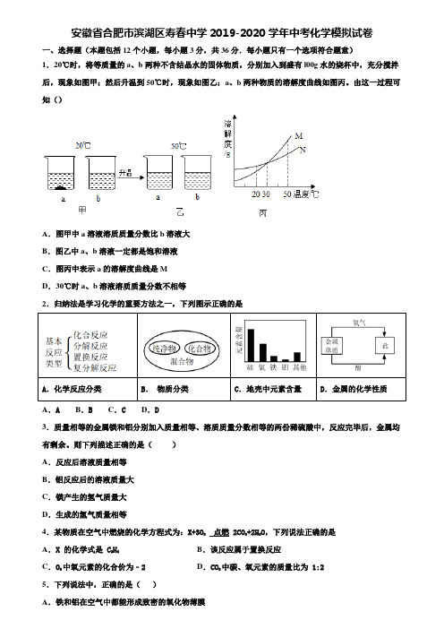 【附20套中考模拟试卷】安徽省合肥市滨湖区寿春中学2019-2020学年中考化学模拟试卷含解析