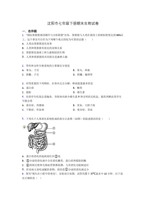 沈阳市七年级下册期末生物试卷