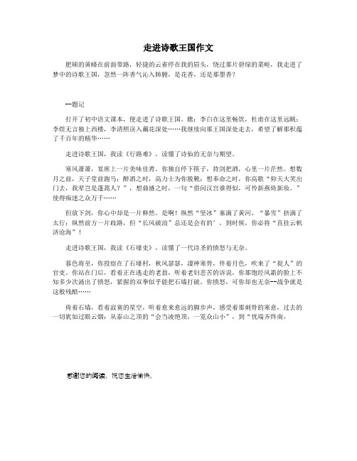 走进诗歌王国作文