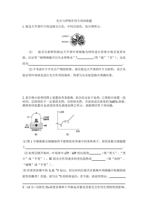 光合与呼吸作用专项训练题(带答案)