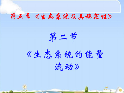 生态系统的能量流动 课件(41张PPT)