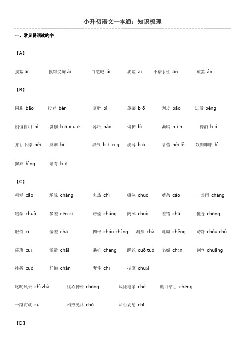 2023年小升初语文一本通字词