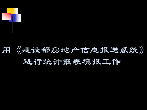 用建设部房地产信息报送系统进行统计报表填报工作(ppt 12)