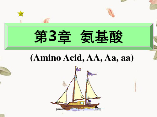 (AminoAcidAAAaaa)第3章氨基酸