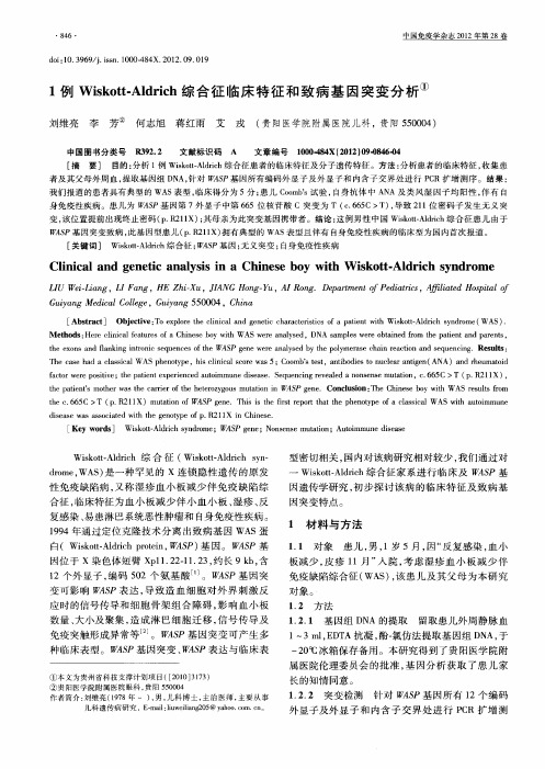 1例Wiskott-Aldrich综合征临床特征和致病基因突变分析