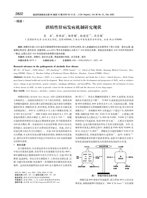 酒精性肝病发病机制研究现状 吴亚