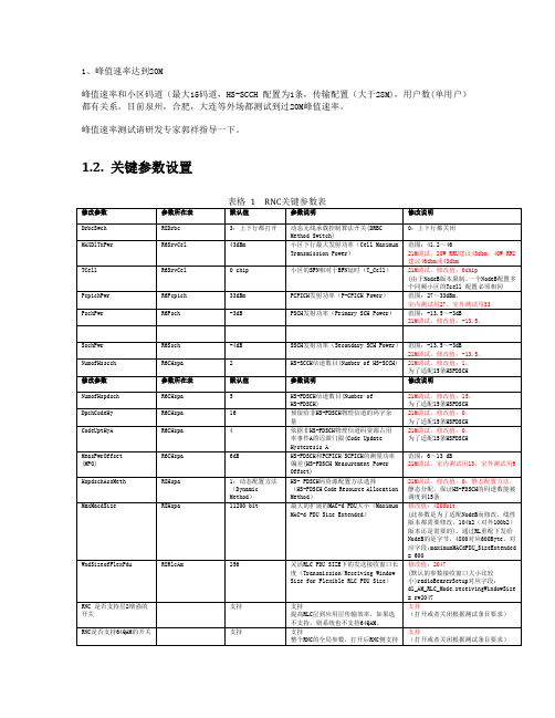 PA 峰值速率关键参数设置