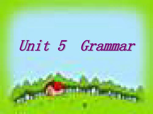 8b Unit5 Grammar课件