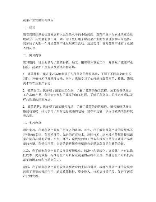 蔬菜产业发展实习报告