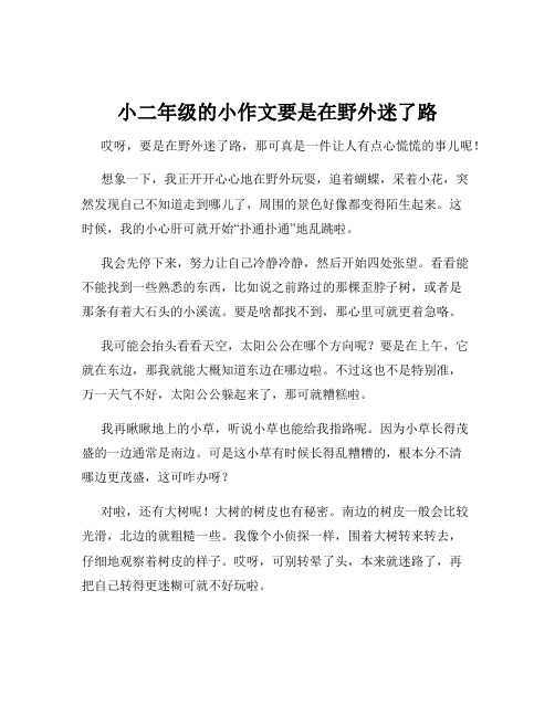 小二年级的小作文要是在野外迷了路