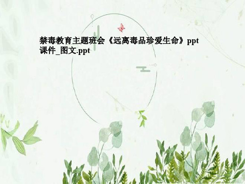 禁毒教育主题班会《远离毒品珍爱生命》ppt课件_图文