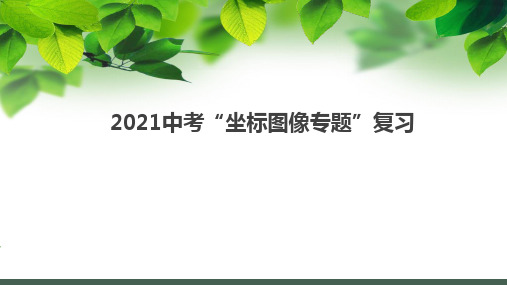 2021年中考物理二轮复习之坐标图像专题