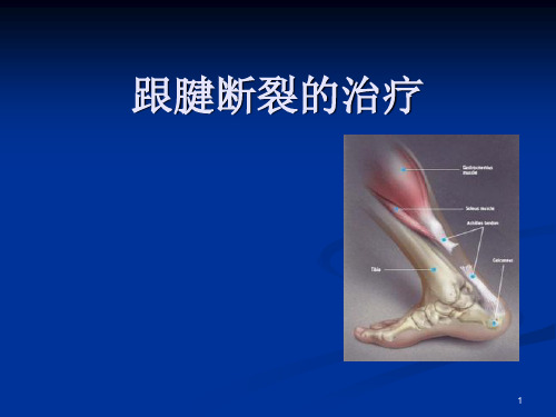 跟腱断裂PPT幻灯片课件