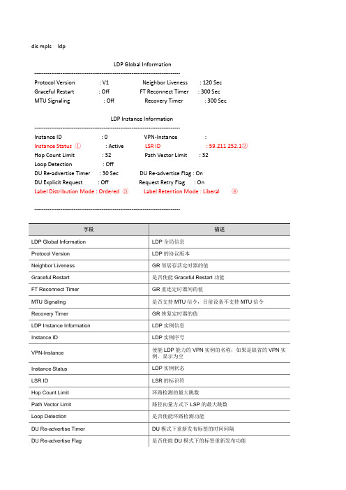 H3C_mpls常用显示命令参考