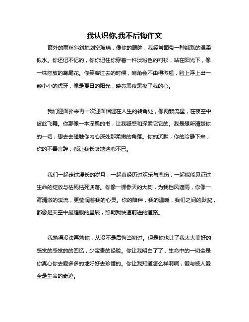 我认识你,我不后悔作文