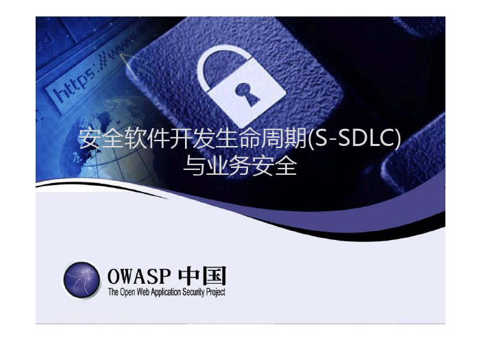 安全软件开发生命周期(S-SDLC)