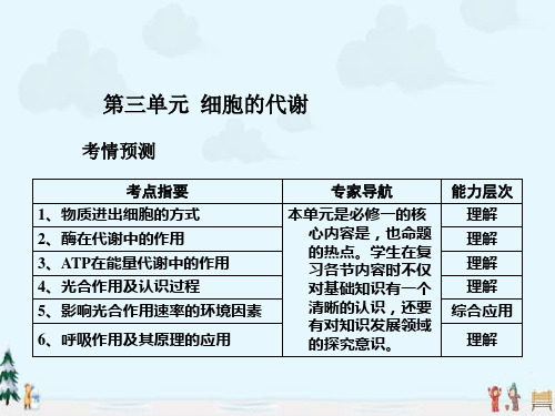 中小学优质课件细胞的代谢课件.ppt