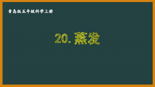 青岛版五年级科学上册第五单元《水循环》全部课件PPT(共5课时)