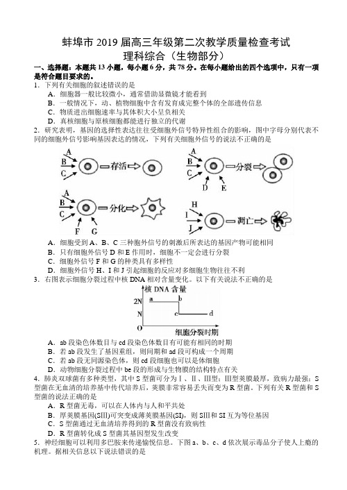 安徽省蚌埠市2019届高三第二次教学质量检测考试生物试题 含答案