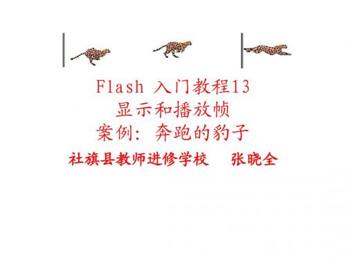 Flash 入门教程13：显示和播放帧