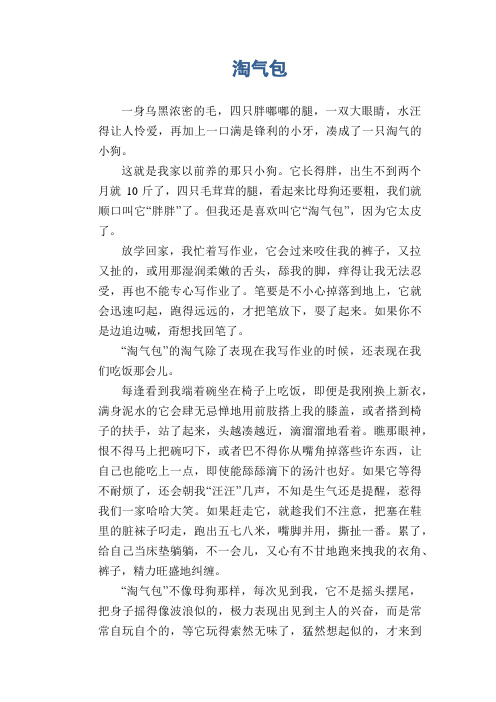 小学生状物作文:淘气包