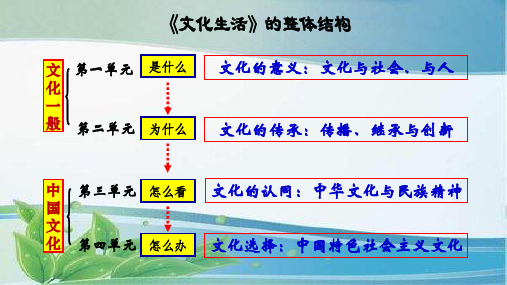 政治必修3.8.1  色彩斑斓的文化生活