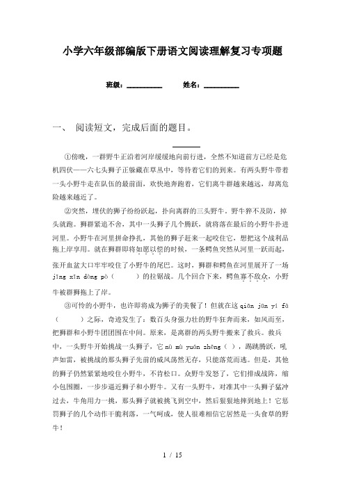 小学六年级部编版下册语文阅读理解复习专项题