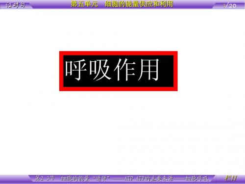 呼吸作用