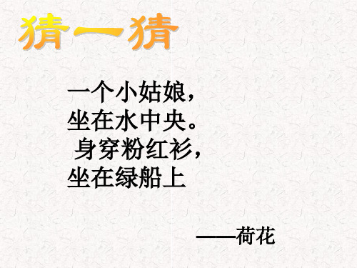 美丽的荷塘