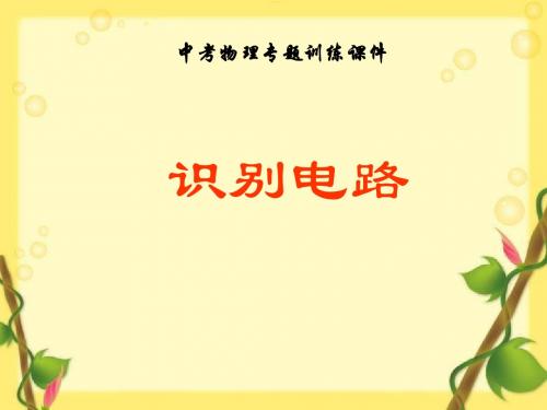 中考物理专题训练《识别电路》ppt课件