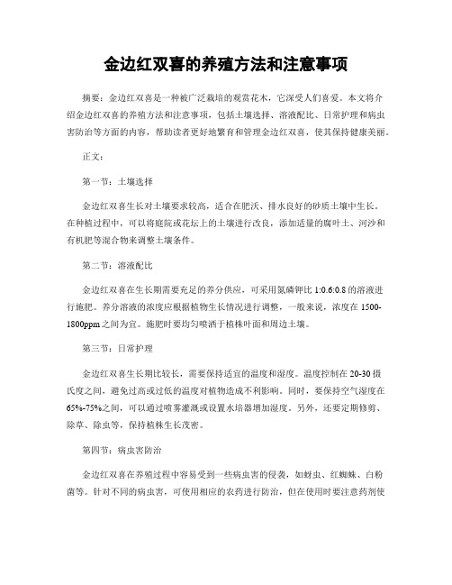 金边红双喜的养殖方法和注意事项