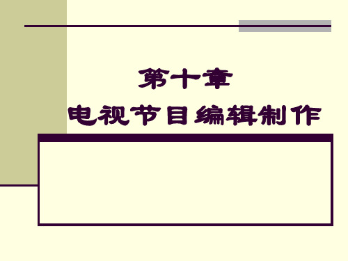 052第十章电视节目编制制作