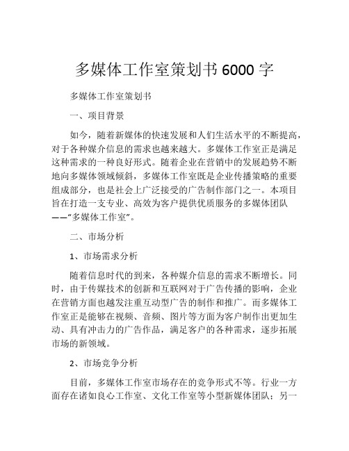 多媒体工作室策划书6000字