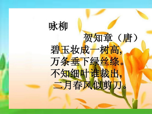 春光染绿我们双脚.PPT