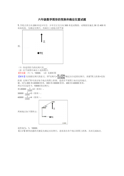 六年级数学图形的变换和确定位置试题
