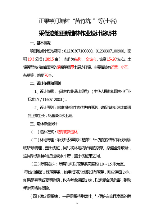 式样  桉树萌芽更新造林设计说明书2