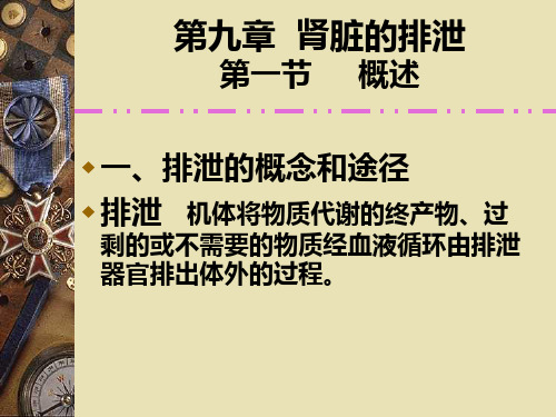 肾脏的排泄功能