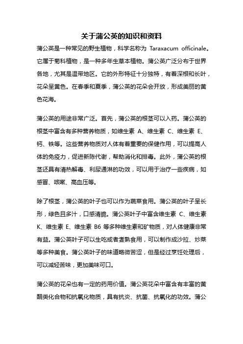 关于蒲公英的知识和资料