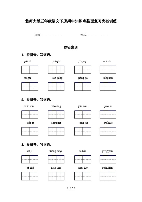 北师大版五年级语文下册期中知识点整理复习突破训练