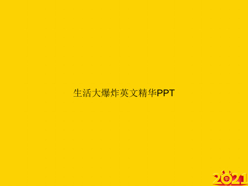 生活大爆炸英文精华ppt正式完整版