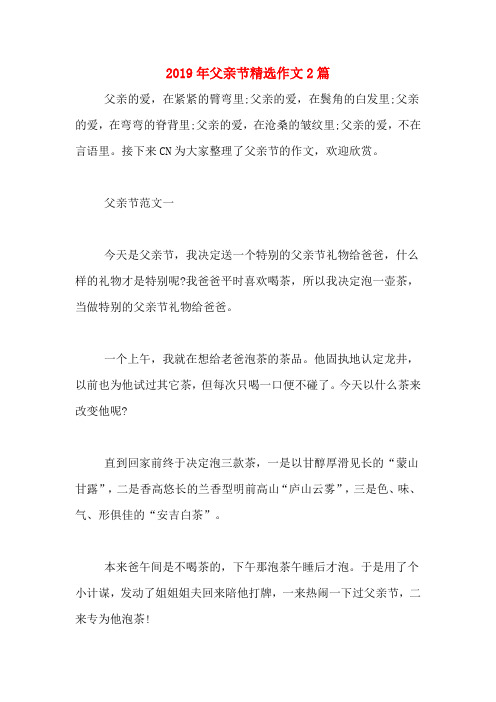 2019年父亲节精选作文2篇