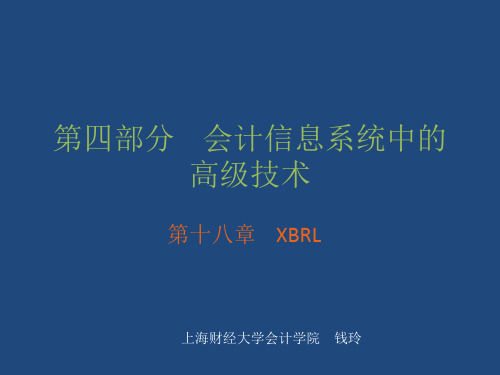 第十八章 XBRL