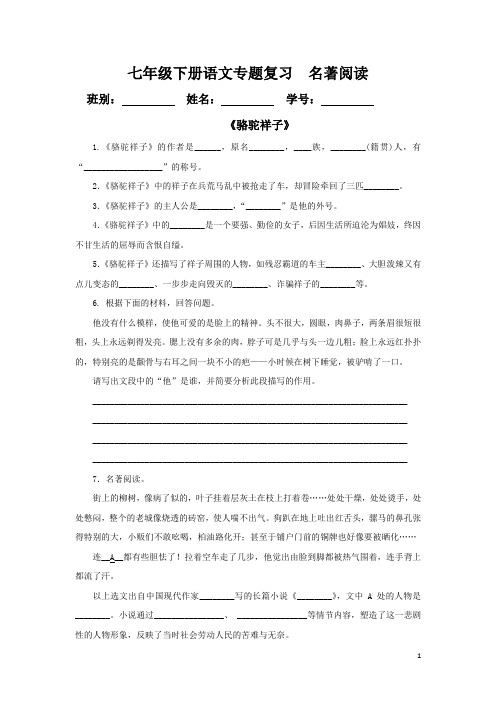 人教部编版七年级语文下册专题复习  名著阅读 (学生版4页)