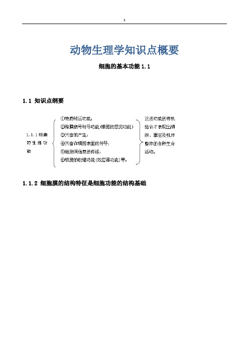 动物生理学